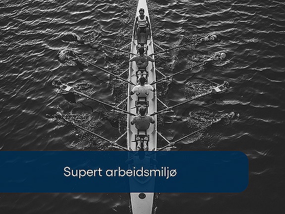 Bilde 3 av 7 i jobbannonse-galleriet