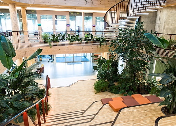 Bilde 4 av 7 i jobbannonse-galleriet