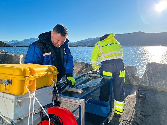 Bilde 3 av 3 i jobbannonse-galleriet