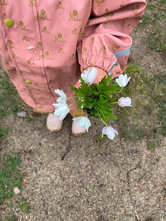 Bilde 1 av 5 i jobbannonse-galleriet