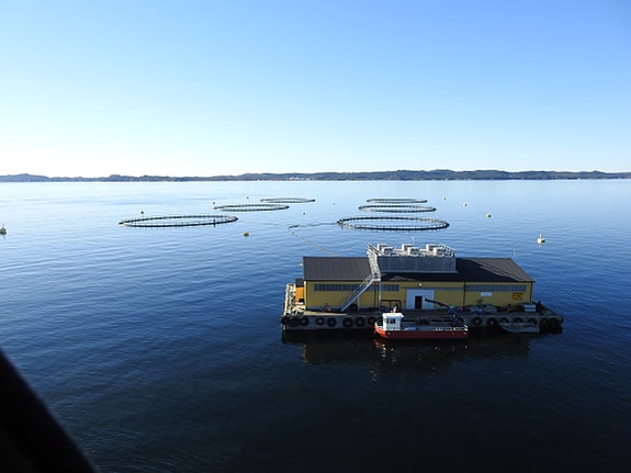 Bilde 4 av 10 i jobbannonse-galleriet