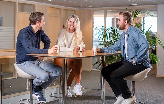 Bilde 4 av 5 i jobbannonse-galleriet