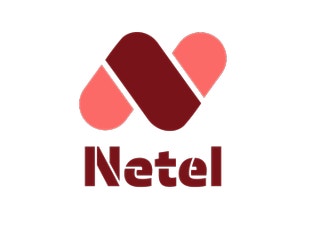 Netel AS logo
