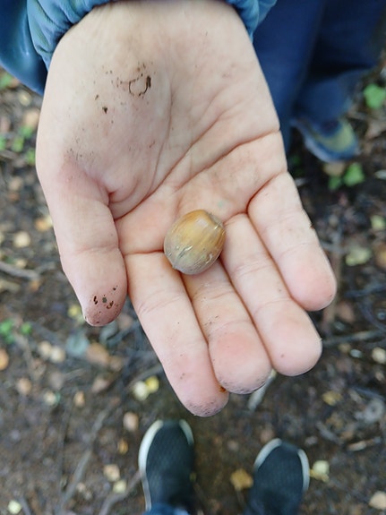 Bilde 3 av 5 i jobbannonse-galleriet