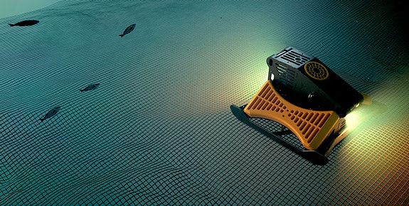 Bilde 2 av 4 i jobbannonse-galleriet