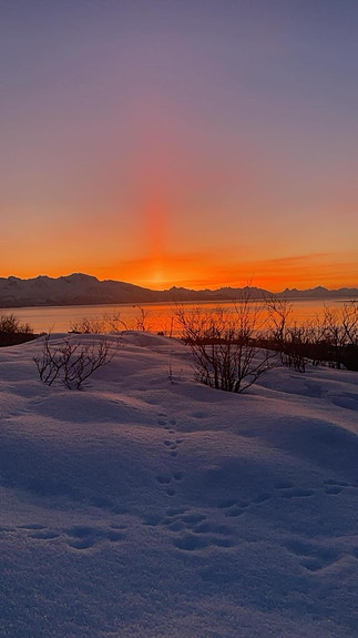 Magisk lys på vinteren!