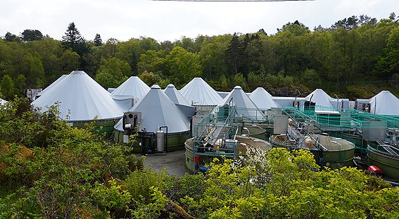 Bilde 2 av 5 i jobbannonse-galleriet