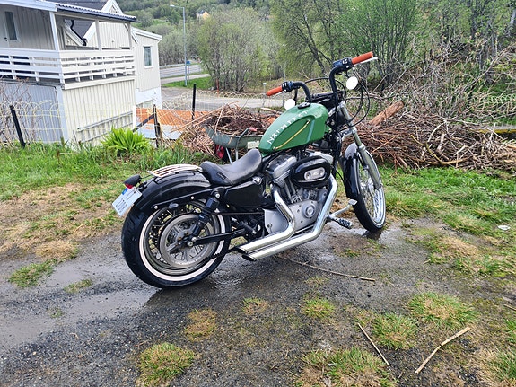 Harley-Davidson XL 883 Sportster 3 of 6