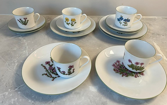 Fjellflora - Dagny Tande Lid | FINN-torget