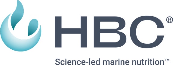 HBC Berkåk AS logo