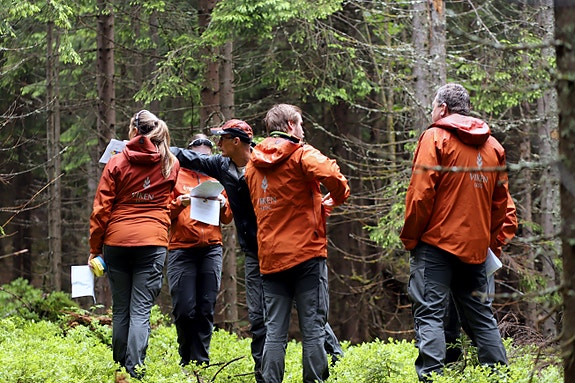 Bilde 1 av 3 i jobbannonse-galleriet