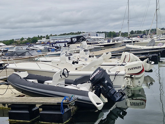 White Shark 205 til leie 6 of 9