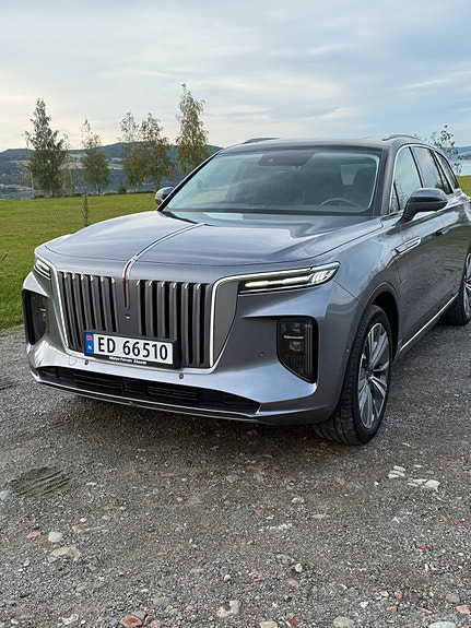 Hongqi E-HS9 9 of 21