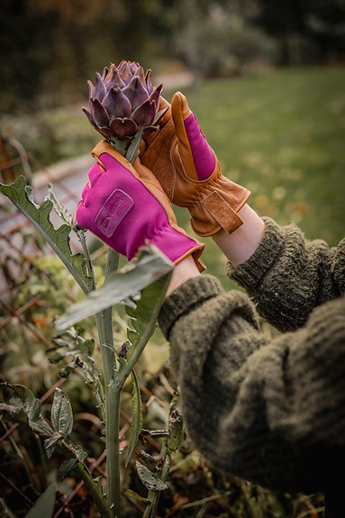 Bilde 5 av 7 i jobbannonse-galleriet