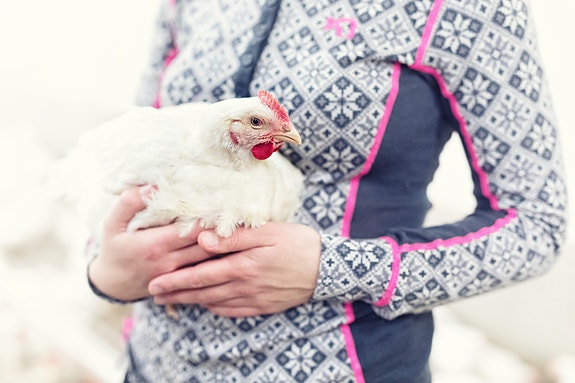 Bilde 4 av 6 i jobbannonse-galleriet