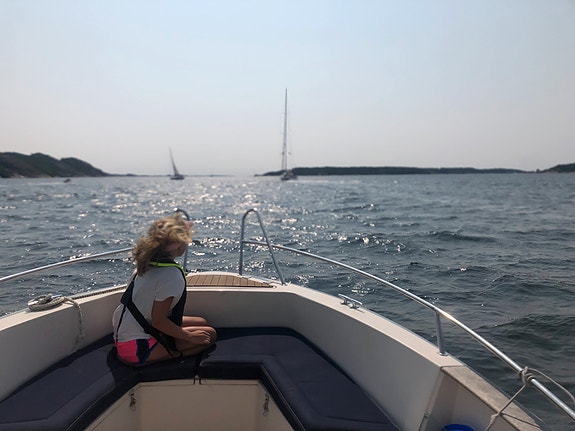 Solid og sjøsterk familiebåt – Evinrude 130 hk – nylig storservice 3 of 13