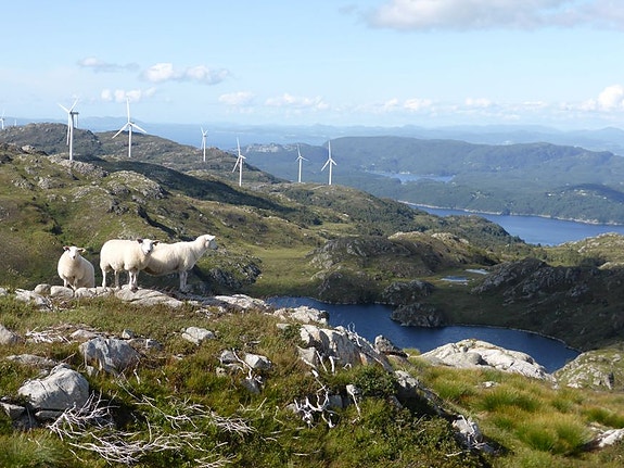 Bilde 1 av 4 i jobbannonse-galleriet