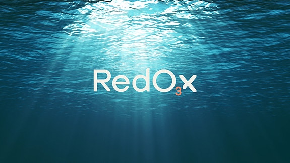 Bilde 1 av 1 i jobbannonse-galleriet