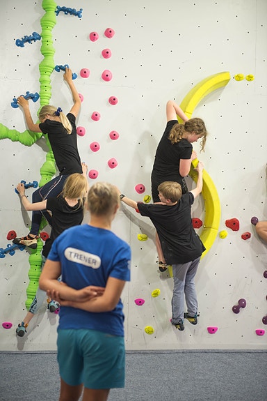 Bilde 3 av 7 i jobbannonse-galleriet