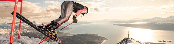 Bilde 1 av 1 i jobbannonse-galleriet