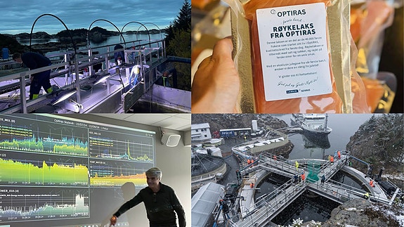 Bilde 1 av 1 i jobbannonse-galleriet