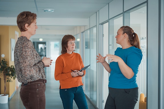 Bilde 2 av 3 i jobbannonse-galleriet