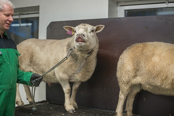 Bilde 1 av 1 i jobbannonse-galleriet