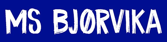 MS Bjørvika AS logo