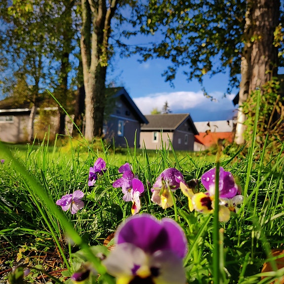 Bilde 4 av 7 i jobbannonse-galleriet