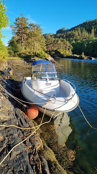 Askeladden Spider, 116 hk Mercruiser 3 of 26