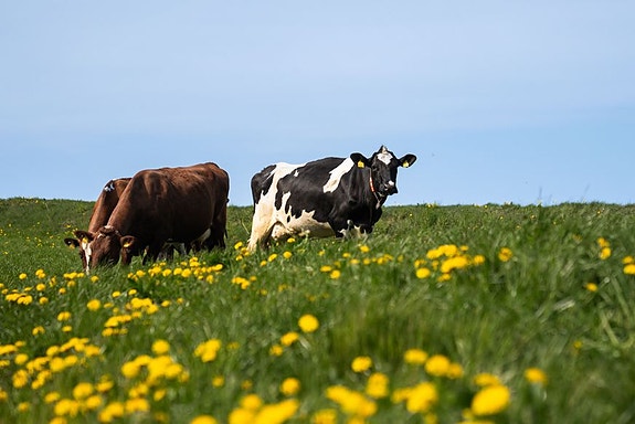 Bilde 5 av 5 i jobbannonse-galleriet