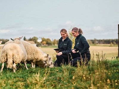 Bilde 1 av 1 i jobbannonse-galleriet