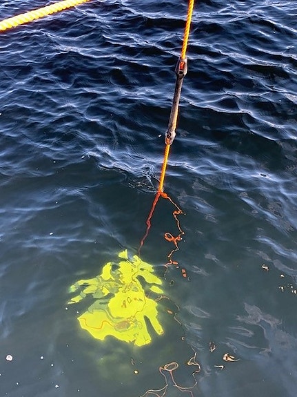 Bilde 3 av 7 i jobbannonse-galleriet