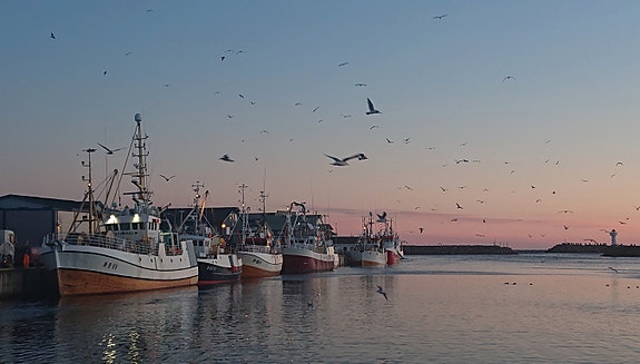 Bilde 1 av 1 i jobbannonse-galleriet
