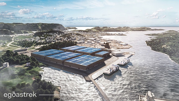 Bilde 1 av 1 i jobbannonse-galleriet