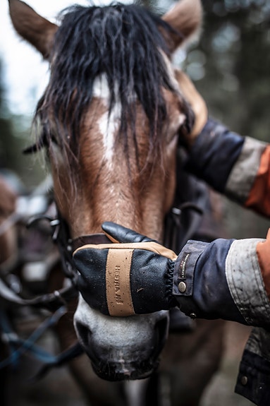 Bilde 2 av 7 i jobbannonse-galleriet