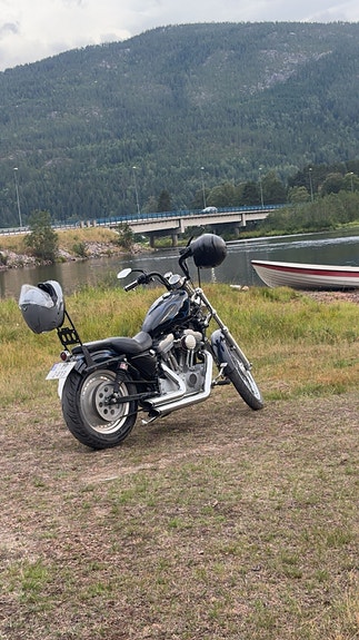 Harley-Davidson XL 883 Sportster 7 of 10