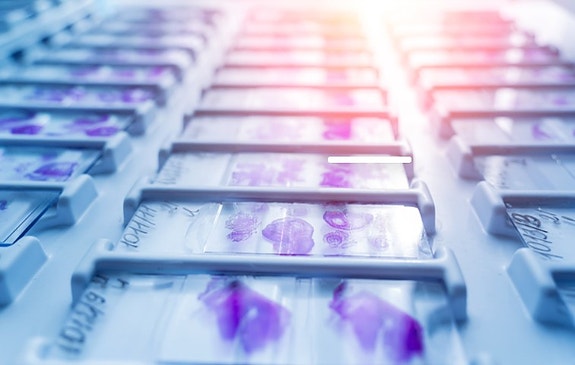 Bilde 2 av 2 i jobbannonse-galleriet