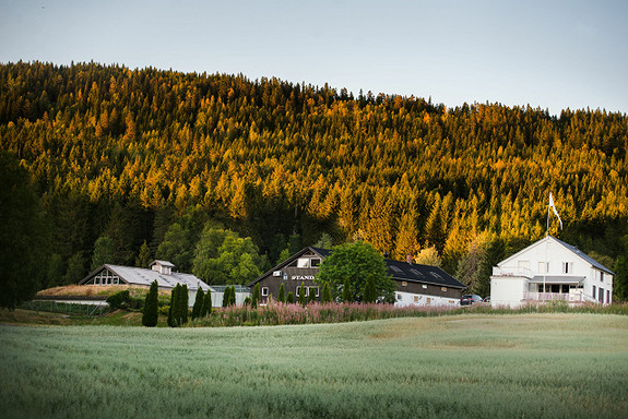 Bilde 3 av 3 i jobbannonse-galleriet