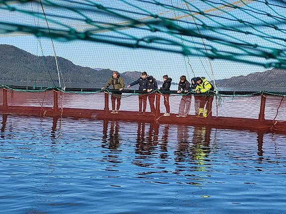 Bilde 5 av 5 i jobbannonse-galleriet