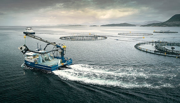 Bilde 1 av 4 i jobbannonse-galleriet