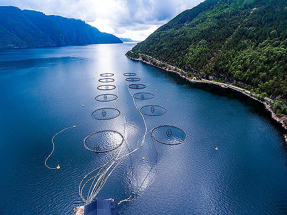 Bilde 4 av 10 i jobbannonse-galleriet