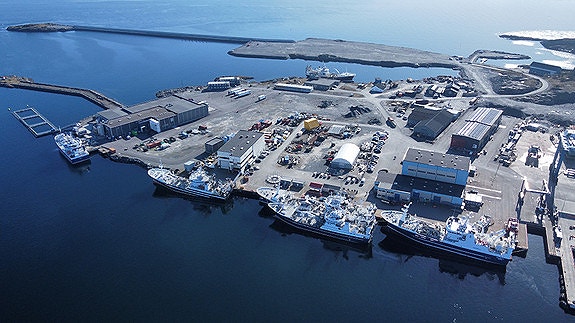 Bilde 1 av 6 i jobbannonse-galleriet