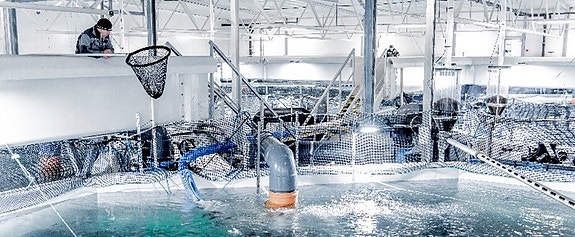 Bilde 3 av 4 i jobbannonse-galleriet