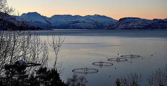 Bilde 4 av 6 i jobbannonse-galleriet