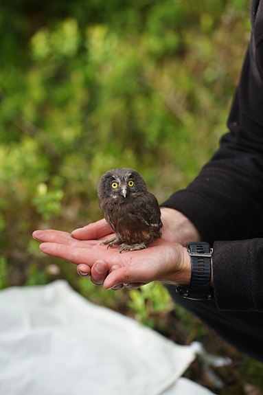 Vi ser etter ny daglig leder - er det deg?

Foto: Kristian Nesser