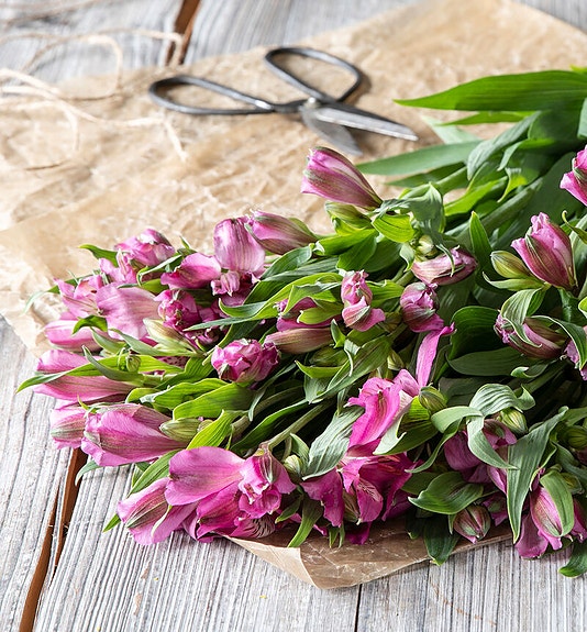 Bilde 5 av 5 i jobbannonse-galleriet