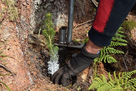 Bilde 5 av 5 i jobbannonse-galleriet