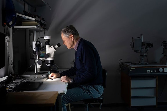 Bilde 5 av 5 i jobbannonse-galleriet