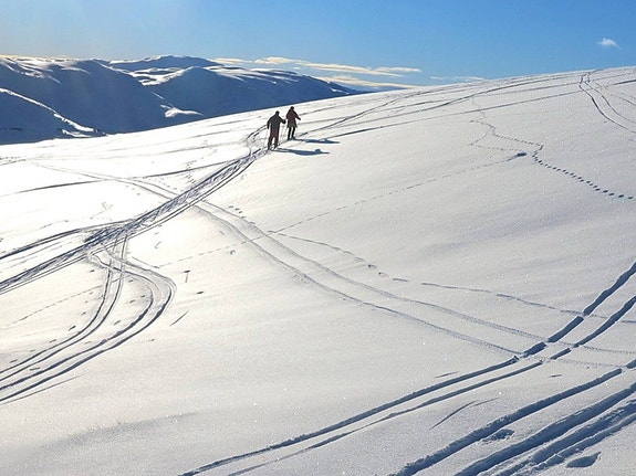 Bilde 5 av 5 i jobbannonse-galleriet